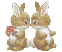 bunny kisses